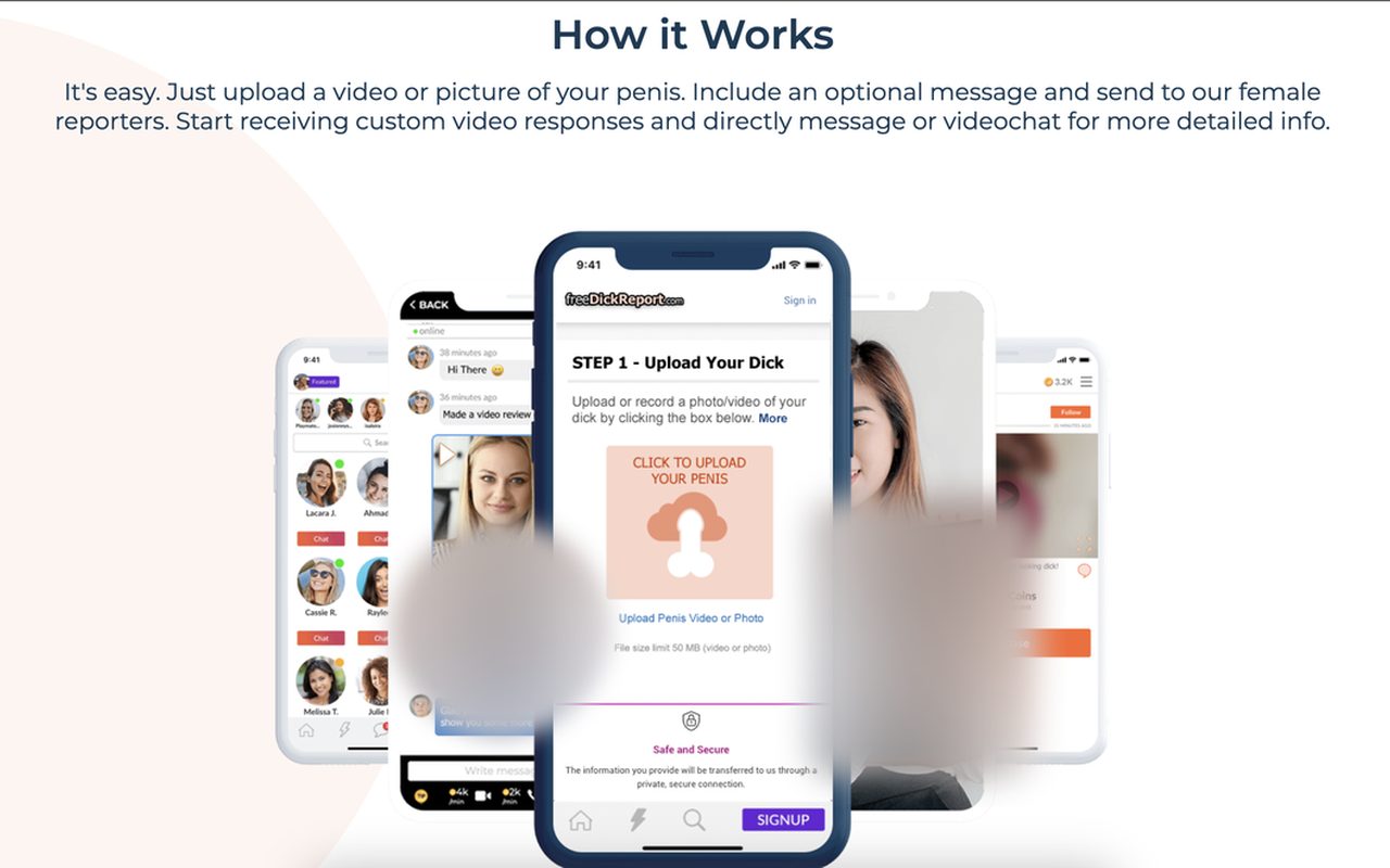 FreeDickReport how it works (explicit region blurred)